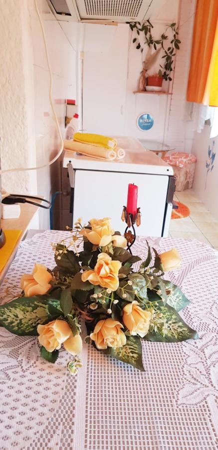 Apartament Casa Mihaela Mangalia Zewnętrze zdjęcie